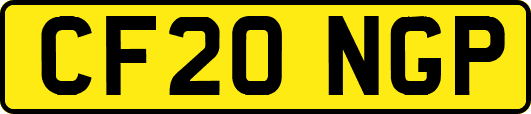CF20NGP