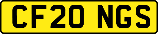 CF20NGS