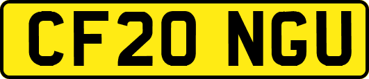 CF20NGU