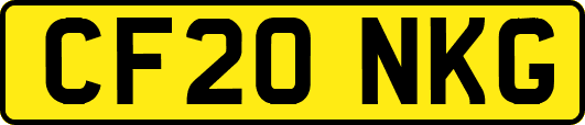 CF20NKG