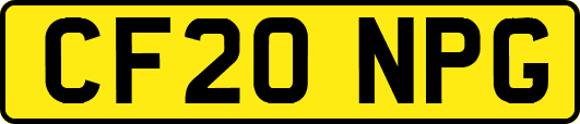 CF20NPG