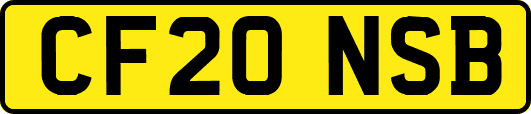 CF20NSB