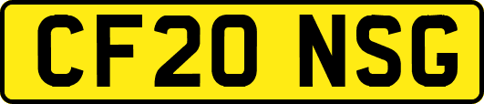CF20NSG