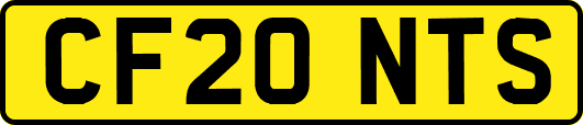 CF20NTS