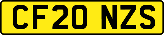CF20NZS