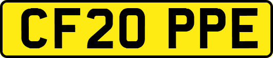 CF20PPE
