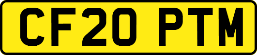 CF20PTM
