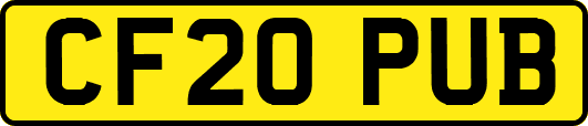 CF20PUB