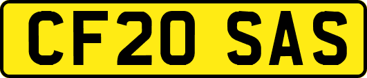 CF20SAS