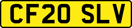 CF20SLV