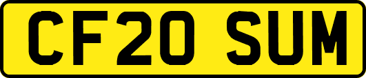 CF20SUM