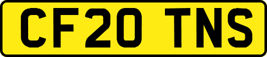 CF20TNS
