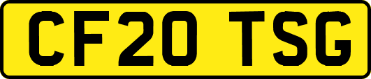 CF20TSG