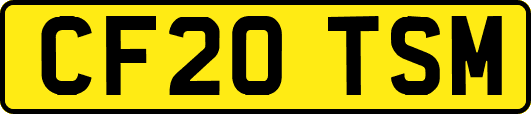 CF20TSM