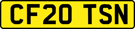 CF20TSN