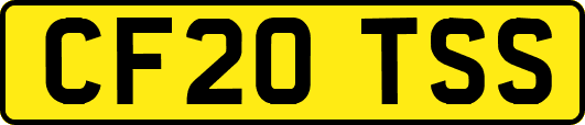 CF20TSS