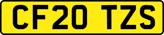CF20TZS