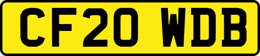 CF20WDB
