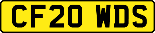 CF20WDS