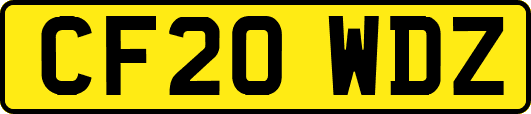 CF20WDZ