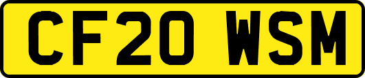 CF20WSM