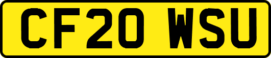 CF20WSU