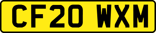 CF20WXM