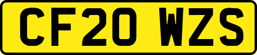 CF20WZS