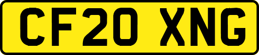 CF20XNG