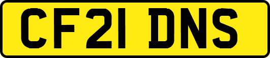 CF21DNS