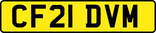 CF21DVM
