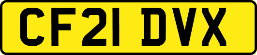 CF21DVX