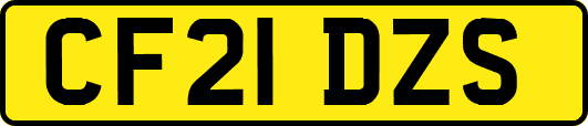 CF21DZS