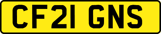 CF21GNS