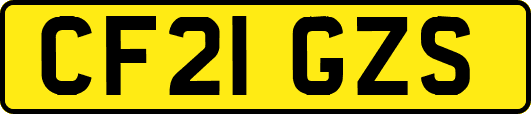 CF21GZS