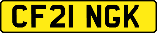 CF21NGK