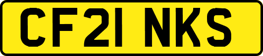 CF21NKS