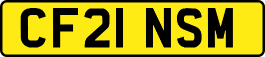 CF21NSM