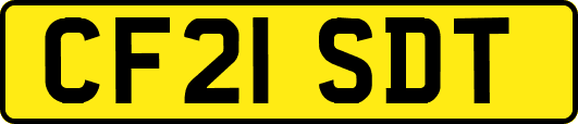 CF21SDT