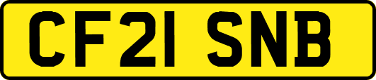 CF21SNB