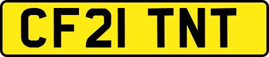 CF21TNT