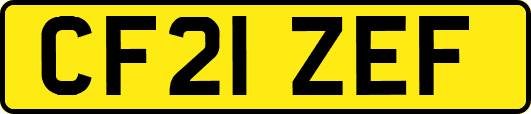 CF21ZEF