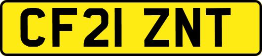 CF21ZNT