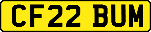 CF22BUM