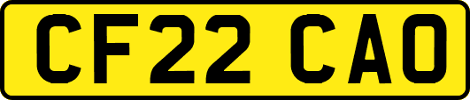 CF22CAO