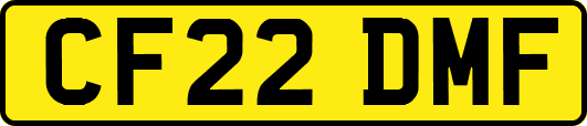 CF22DMF
