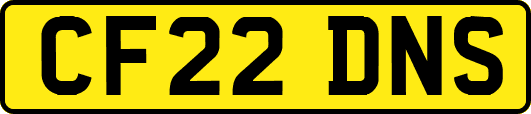 CF22DNS