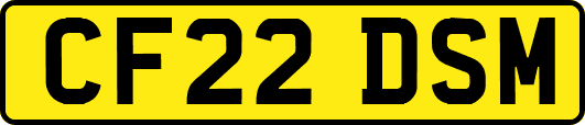 CF22DSM
