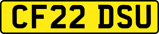 CF22DSU