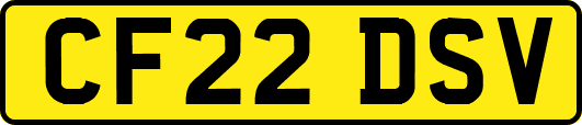CF22DSV